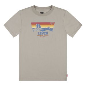 POLERA MANGA CORTA JUVENIL HOMBRE LEVI'S ESERT SUNRISE