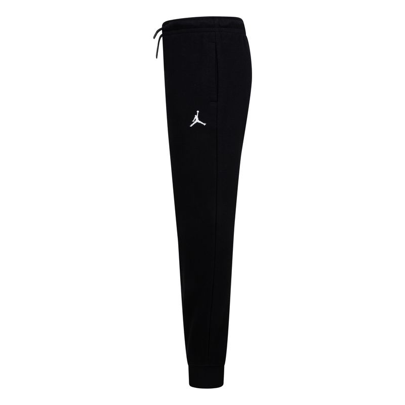 Jordan_APP_Big_D390_023_Q_P_L